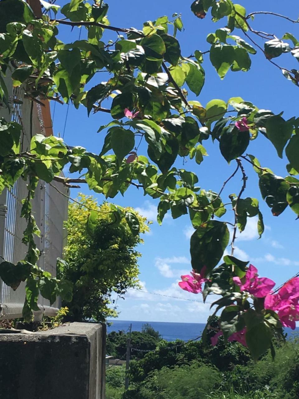 海之恋 Villa Miyakojima  Exterior photo